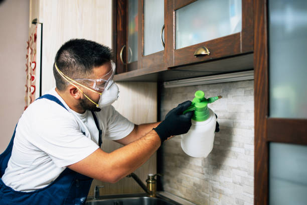 Best Pest Control Cost  in Lakeland North, WA
