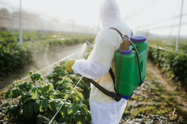 Pest Control Cost in Lakeland North, WA